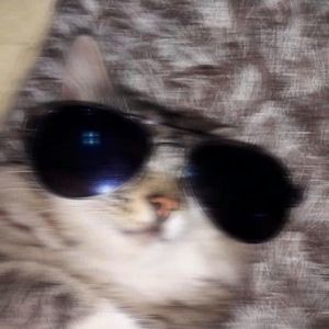 Meet your Posher, Hailey